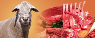 carne argentina lima Carnes Naveda