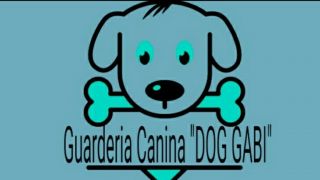 guarderia perros lima Guarderia canina 