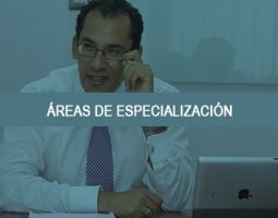 gestorias trafico lima Estudio De la Flor, García Montufar, Arata & Asociados Abogados