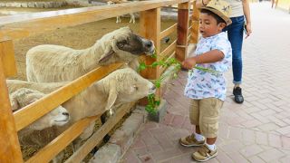 mejor parque acuatico cerca lima La Granja Villa