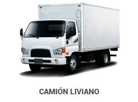 CAMION LIVIANO