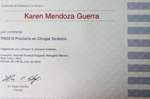 medicos cirugia cardiovascular lima Dra. Karen Mendoza Guerra, Cirujano cardiovascular y torácico