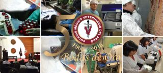 cursos medicina veterinaria y zootecnia lima Colegio Médico Veterinario del Perú - CMVP