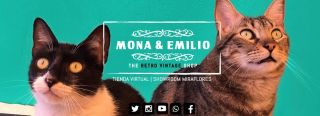 tiendas posters vintage lima Mona y Emilio The Retro Vintage Shop