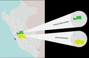 tala arboles lima Reforestadora Bánati Bosque