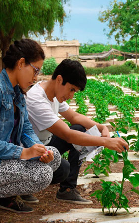 cursos presenciales jardineria lima Universidad Nacional Agraria la Molina - UNALM