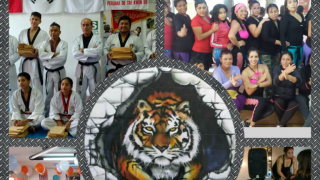 gimnasios taekwondo lima GOLDEN TIGER Gym & Tae kwon Do